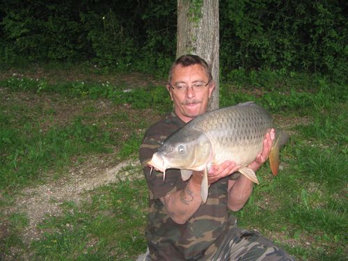 carpe commune 11 k 300.jpg